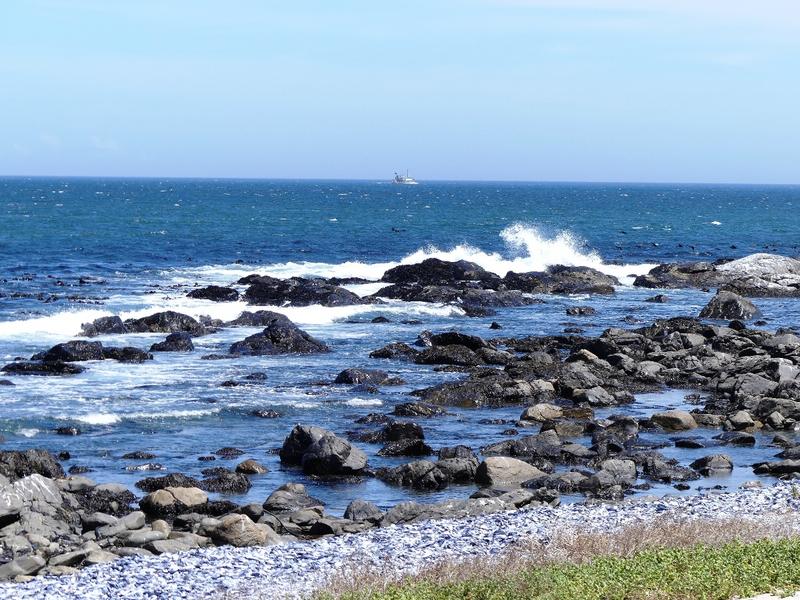 0 Bedroom Property for Sale in St Helena Views Western Cape